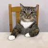 lghtswatb