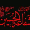 user3196088361216