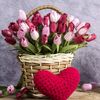 .fahad.1212