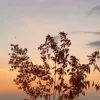 followtui233
