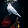 user5200630431126