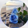 laile715