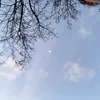 iphigea