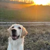 billi_2309