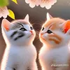 doremon._65956595._0