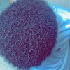 mohamett_537