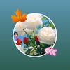 www.tiktok.comusercipzb1