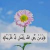 mohamed_gamal354