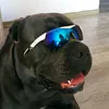 chujcietoobchodzi111