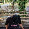 rasya.vanzy