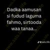 casiiso123
