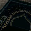 .shadn_0