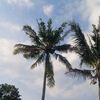 jazzetry_37