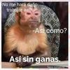 tuamor8185