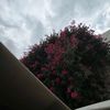fahad_20005
