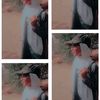 sheren8050