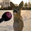 ackerwrd
