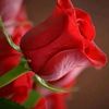 joury79_79