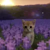 voma_077