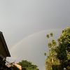 pms_909