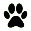 pet hoje