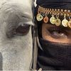 noralgmdi