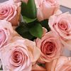 user_53220