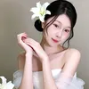 hặn