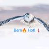 bern.hotl