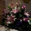 itzitz_51o