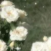 tho.sakurabl