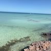 ellah_428