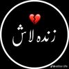 roshanrajpoot562