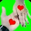 user7600054361491