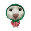 urso_kitty