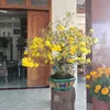 nguynthphng6432