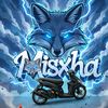 mishxa_33
