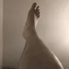 scruplo