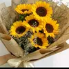maianh_2462