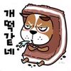 jhdong