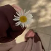 nanoshy_a