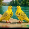 dfgfhj23