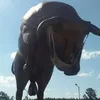 estebanruben463