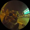 ninolexa