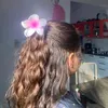 dailyisis123