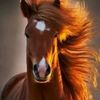 ....jassim.yousif