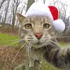 dima_456867
