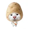 minh_thichxu0
