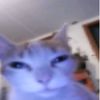 queefnapper69