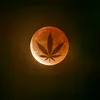tangohotelcharlie420